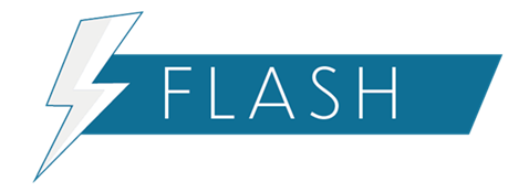 logo flash