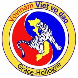 Vovinam Viet Vo Dao