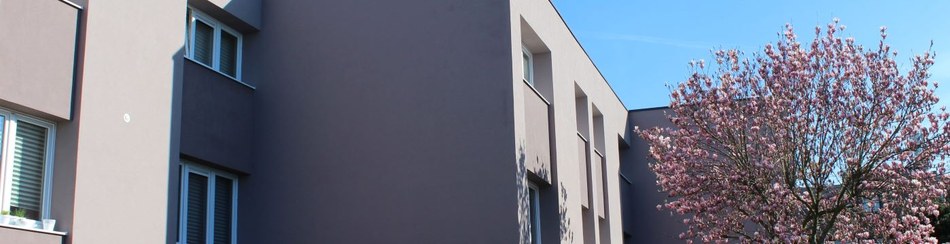 banner.jpg