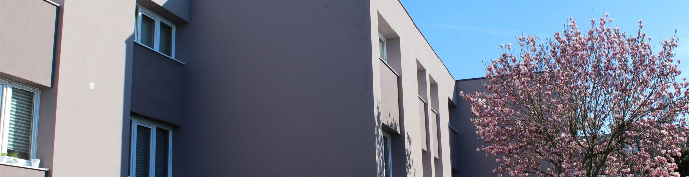 banner.jpg