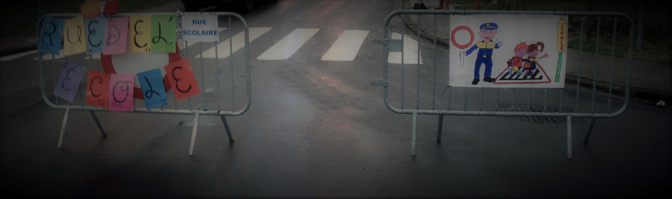 banner.jpg