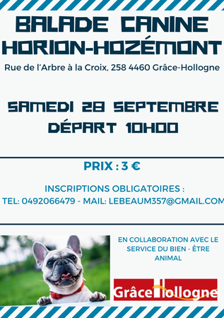 Illustration de l'actualité - cliquer pour agrandir