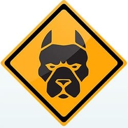Enregistrement et détention de chiens considérés comme dangereux