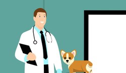 Liste des vétérinaires de Grâce-Hollogne