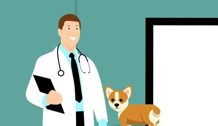 Illustration de l'actualité - cliquer pour agrandir