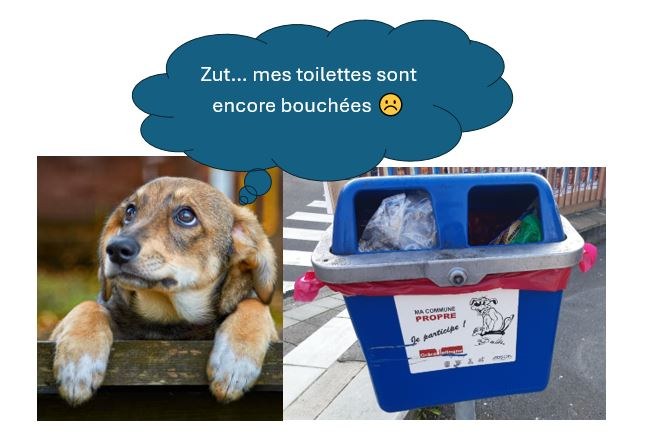 Poubelles déjections canines