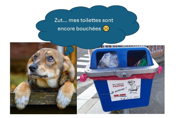 Poubelles déjections canines