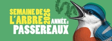 Illustration de l'actualité - cliquer pour agrandir